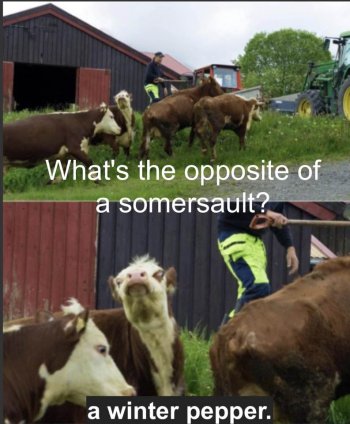 1753916210294.jpeg