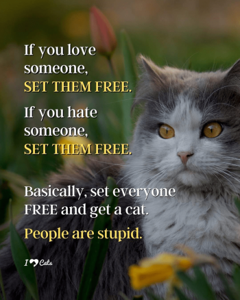 1753922030112.png