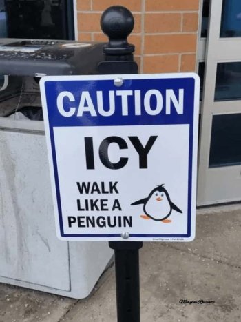 1753949809822.jpeg