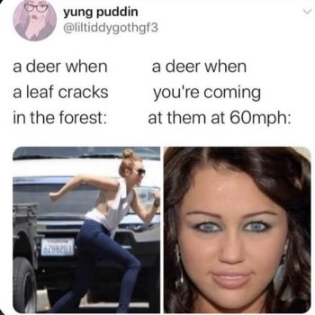 1754064046960.jpeg