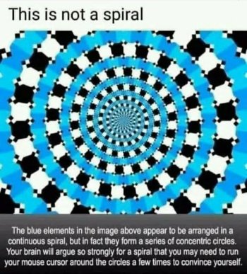 1754088025345.jpeg