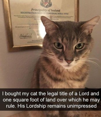 1754141027540.jpeg