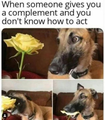 1754161174135.jpeg