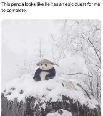 1754232399719.jpeg