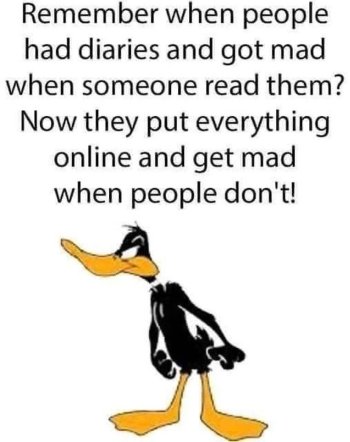 1754263730641.jpeg