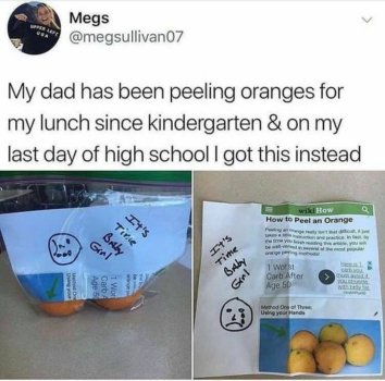 1754265361886.jpeg