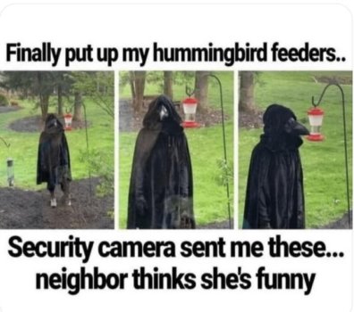 1754266309884.jpeg
