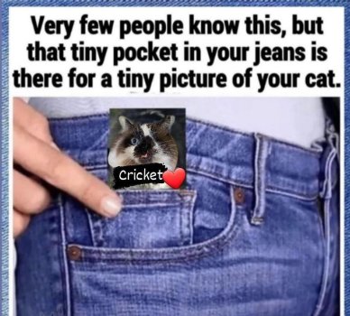 1754324887274.jpeg