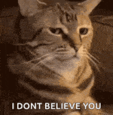 1754325391158.gif