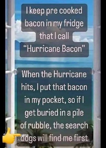 1754415344422.jpeg