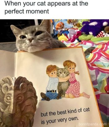 1754488139968.jpeg