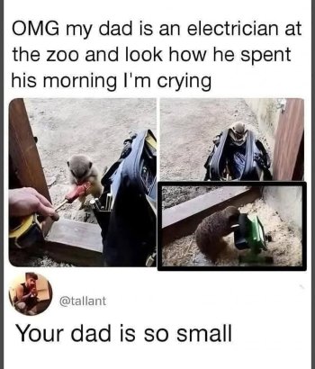 1754502480738.jpeg