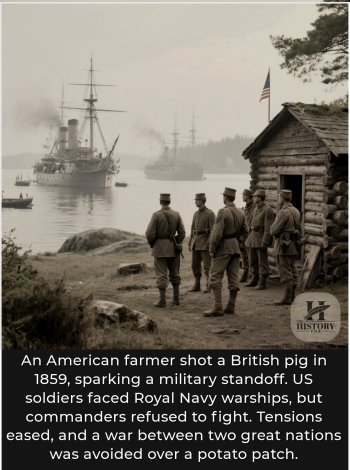 1754522233992.jpeg