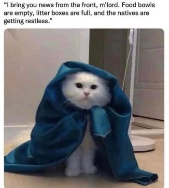 1754527157054.jpeg