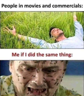 1754567699541.jpeg