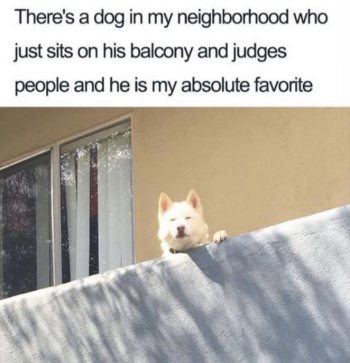 1754573613833.jpeg