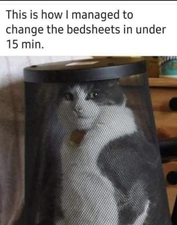 1754660100382.jpeg