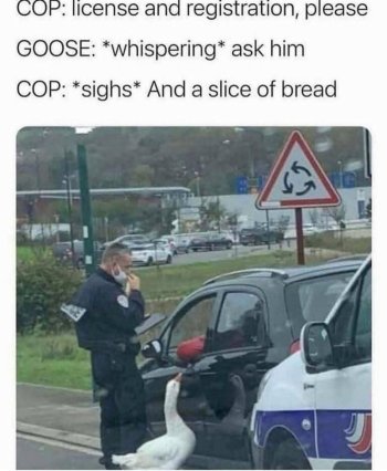 1754670215254.jpeg