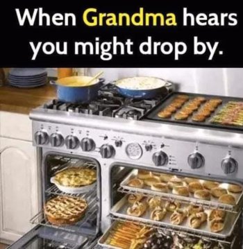 1754702906072.jpeg