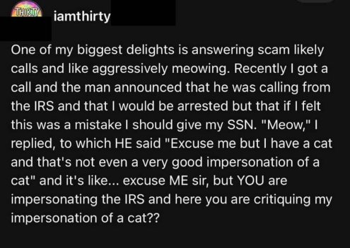 1754824604348.jpeg
