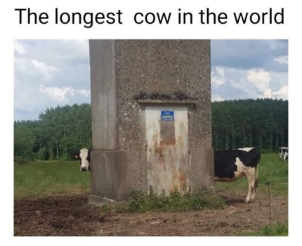 1754842662395.png