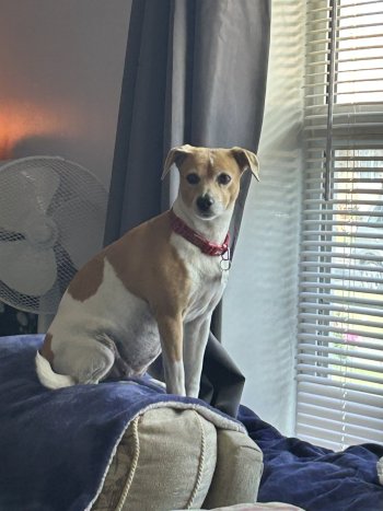 IMG_2019.jpeg IMG_2019.jpeg
