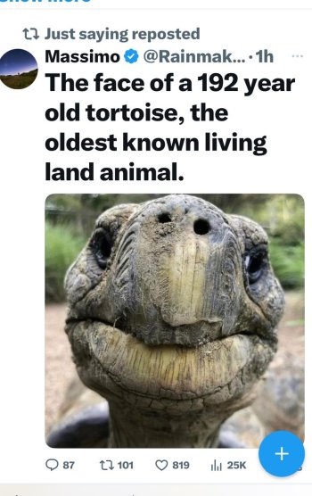 1755058891450.jpeg
