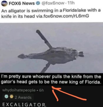 1755171689554.jpeg