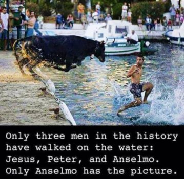 1755198738902.jpeg