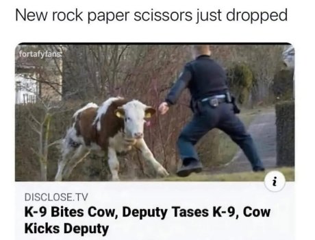 1755467305403.jpeg