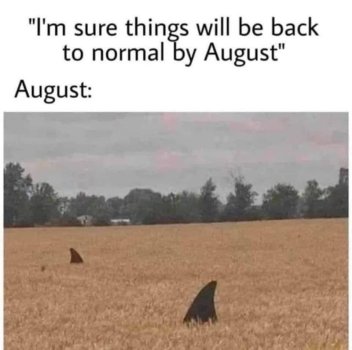 1755554189042.jpeg