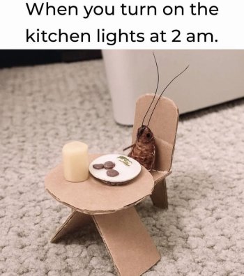 1755572580471.jpeg