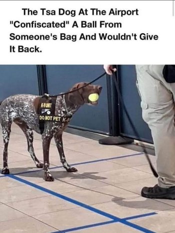 1755644004220.jpeg
