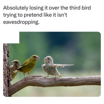 1755650103408.jpeg