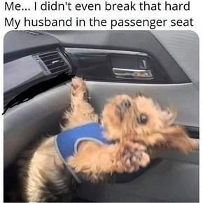1755893879230.jpeg