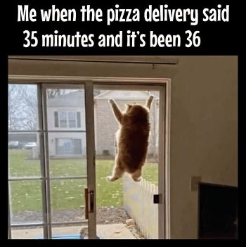 1756074315431.jpeg