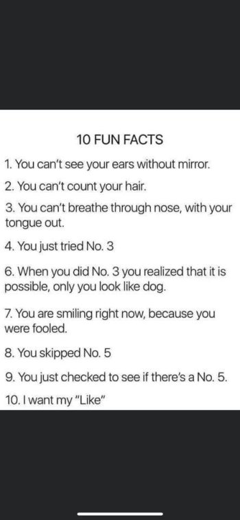 1756154124126.jpeg