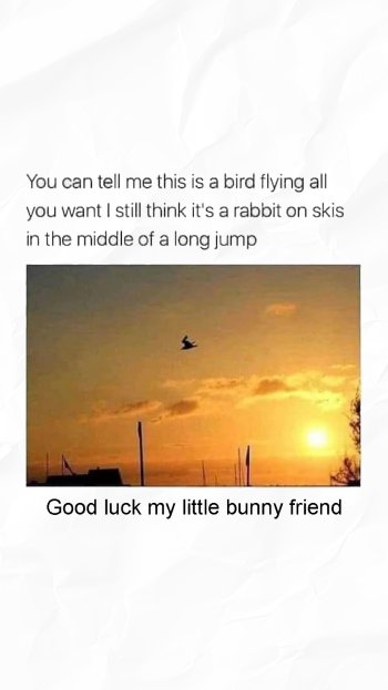 1756174530946.jpeg
