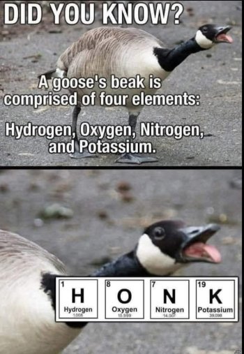 1756219954175.jpeg