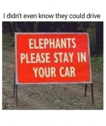 1756240125421.jpeg