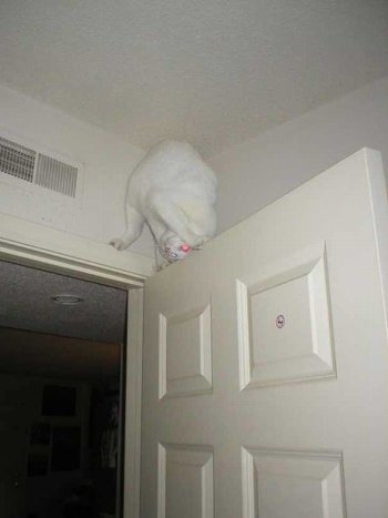 1756290790927.jpeg