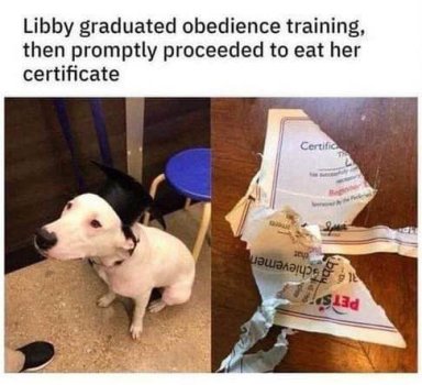 1756309462374.jpeg