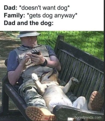 1756309668533.jpeg