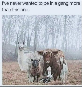 1756347844599.jpeg