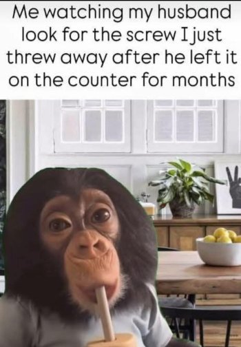 1756419128260.jpeg