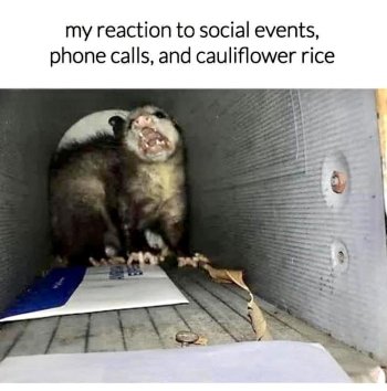 1756473484975.jpeg