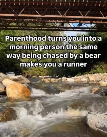 1756481336049.png