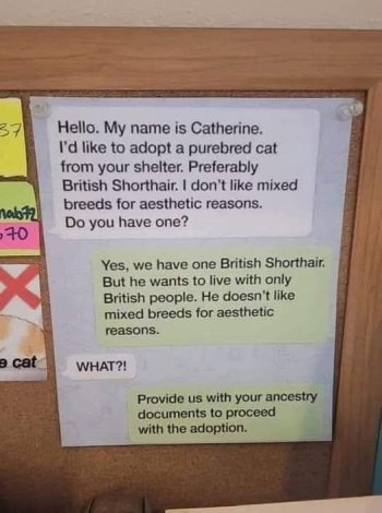 1756681088555.jpeg