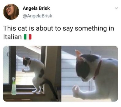 1756759480713.jpeg