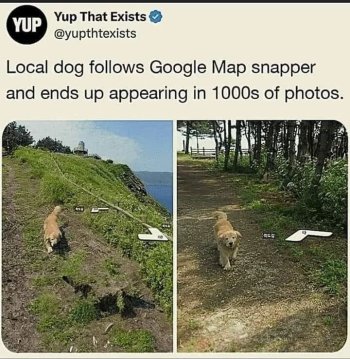 1756892842634.jpeg